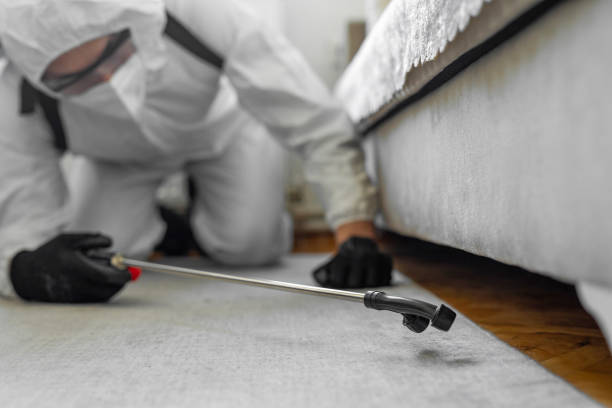 Professional Bed Bug Control technician working in Suffield Depot, CT