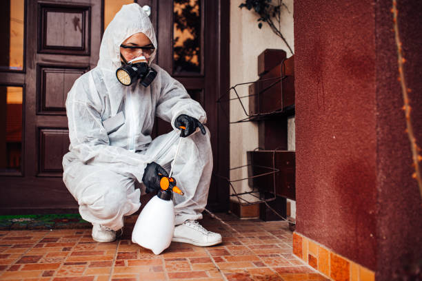 Reliable Bed Bug Control contractor in Suffield Depot, CT by Nex Pest Control