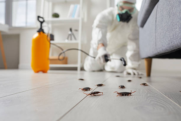 Trusted Bed Bug Control service in Suffield Depot, CT - Nex Pest Control