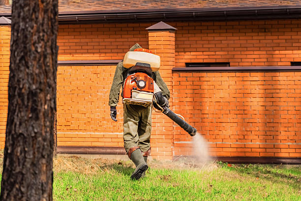 Trusted Termite Control service in Suffield Depot, CT - Nex Pest Control